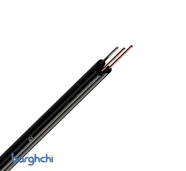 کابل مخابرات زمینی دوبل مهاردار رسانا اراک 0.7+0.6*2
