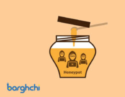 هانی‌ پات(HoneyPot) چیست؟